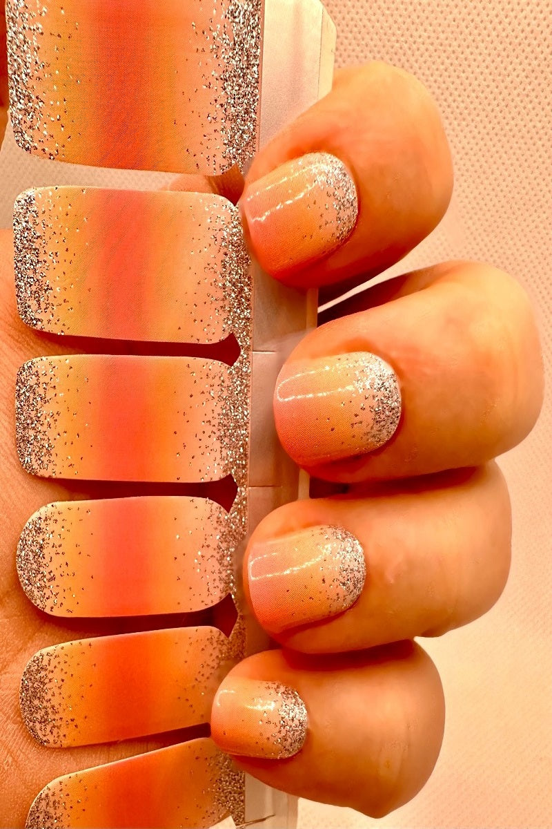 サンライズ SANRISE XL サンライズ SANRISE XL