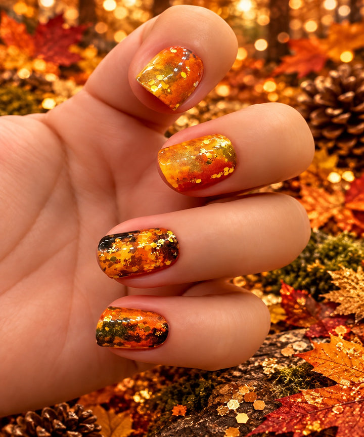 Autumn In The Forest (Holo)