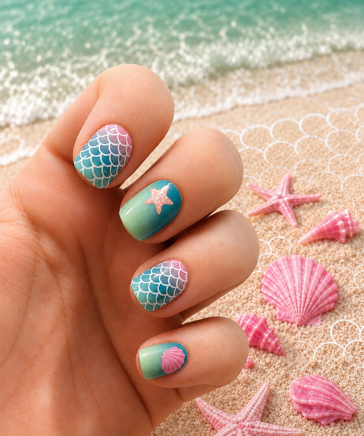 XL Seashells On The Beach