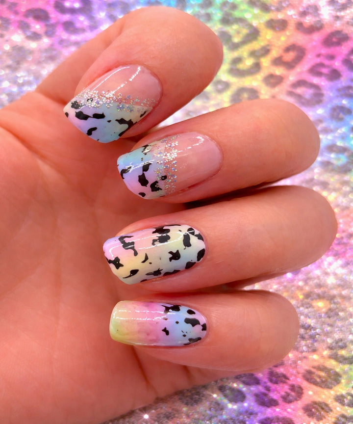 Rainbow Animal Print (Transparent)
