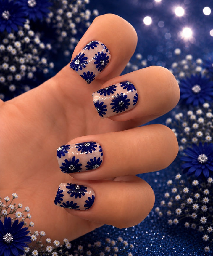 Midnight Blue Daisies (Transparent)