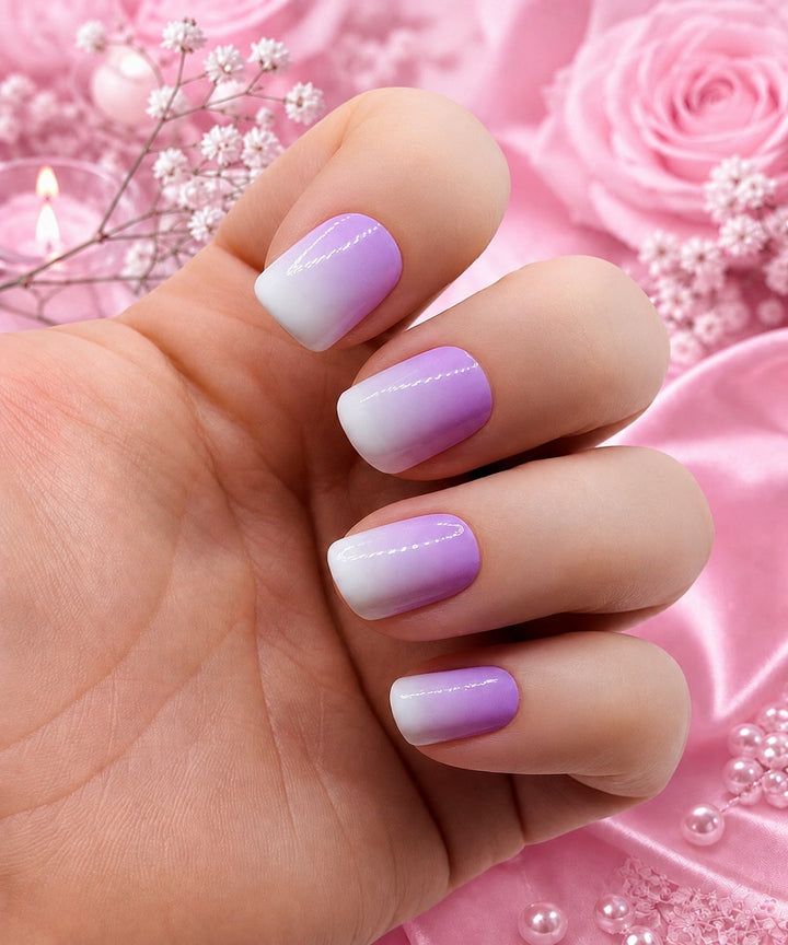 XL Babyboomer Rose